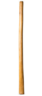 Gloss Finish Flared Didgeridoo (TW903)